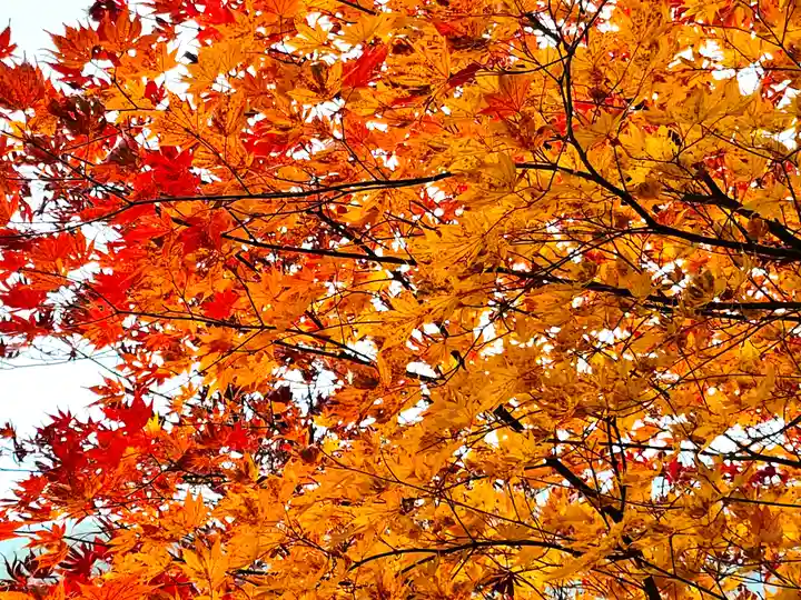 大国寺(兵庫県)