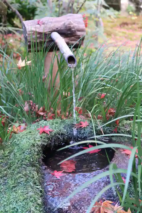 祇王寺のその他建物