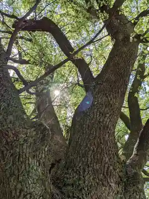 伊多波刀神社(愛知県)