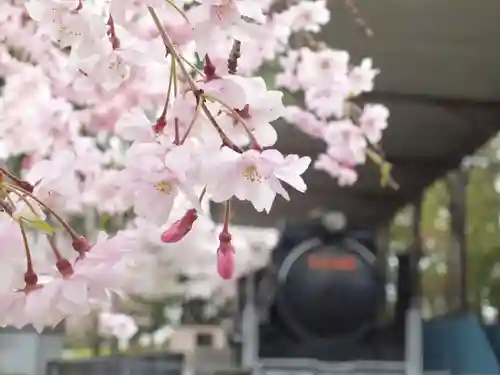 手原稲荷神社の自然