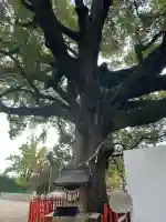 百舌鳥八幡宮(大阪府)