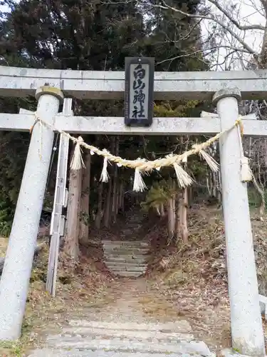 白山神社本殿の鳥居