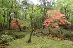 深山巴の宿の自然