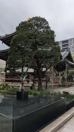 頂法寺（六角堂）(京都府)