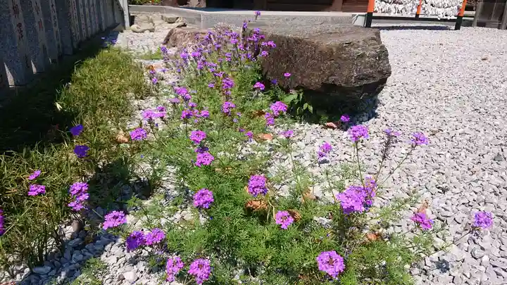 埼玉厄除け開運大師・龍泉寺(切り絵御朱印発祥の寺)の自然