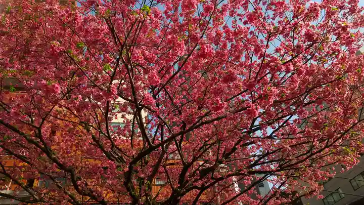 蔵前神社(東京都)