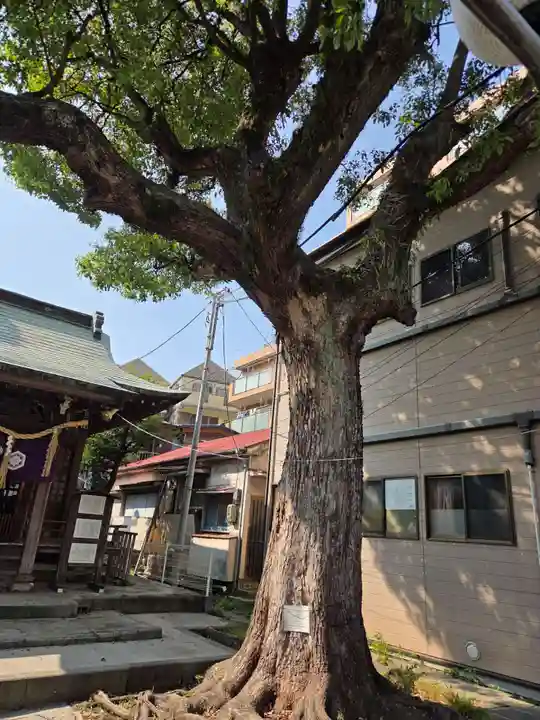 子神社(神奈川県)