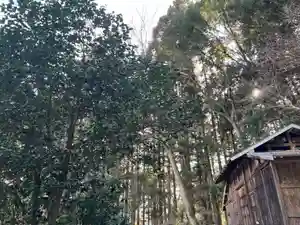 大宮温泉神社(栃木県)(2024年02月18日(日) 15時05分22秒投稿)