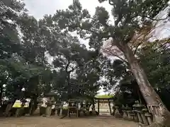 雲甘寺坐楢本神社(奈良県)