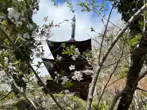 国宝 大法寺の塔(2022年04月16日(土) 13時15分50秒投稿)