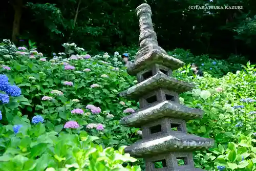 長谷寺の塔