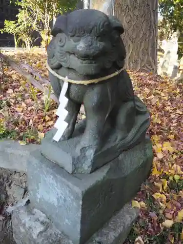 細山神明社の狛犬