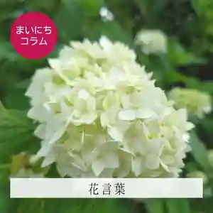 壽徳寺 じゅとくじ(福島県)(2022年07月04日(月) 22時25分48秒投稿)