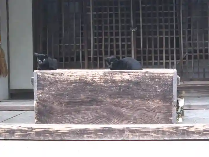 吉香神社(山口県)