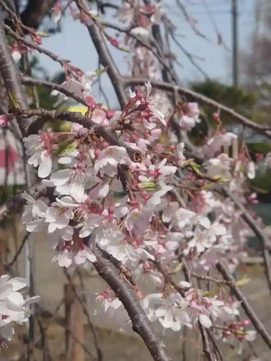 白旗神社(神奈川県)