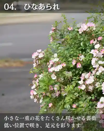 宝光寺(北海道)