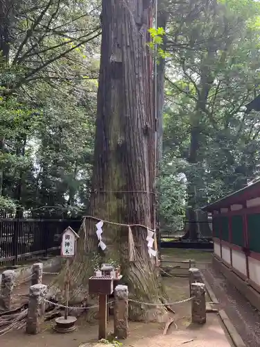 一言主神社(茨城県)