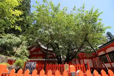 金櫻神社(山梨県)