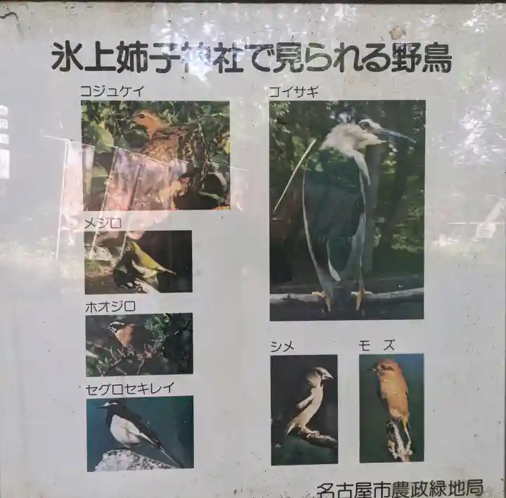 氷上姉子神社(熱田神宮摂社)の{uncategorized: "未分類", other: "その他", undefined: "問題あり", building: "その他建物", grave: "お墓", sacred_gate: "鳥居", guardian: "狛犬", statue: "像", buddha: "仏像", history: "歴史", nature: "自然", garden: "庭園", animal: "動物", pagoda: "塔", temizu: "手水舎", mountain_gate: "山門・神門", sanctuary: "本殿・本堂", subordinate: "末社・摂社", art: "芸術", scenery: "景色", jizo: "地蔵", ema: "絵馬", goshuin: "御朱印", omikuji: "おみくじ", items: "授与品その他", amulet: "お守り", goshuincho: "御朱印帳", eats: "食事", festival: "お祭り", votive_dance: "神楽", shichigosan: "七五三参", wedding: "結婚式", experience: "体験その他", initially: "初詣", around: "周辺", anti_infection: "感染症対策"}