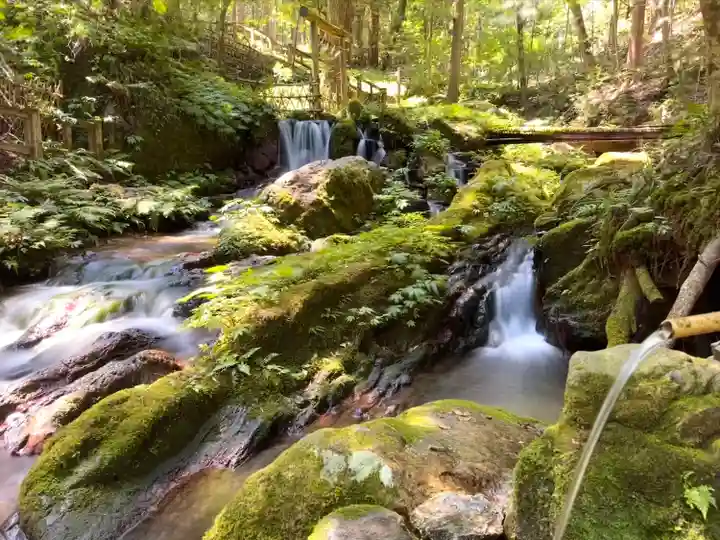 天徳寺(福井県)
