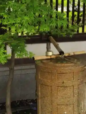 蓮馨寺の{uncategorized: "未分類", other: "その他", undefined: "問題あり", building: "その他建物", grave: "お墓", sacred_gate: "鳥居", guardian: "狛犬", statue: "像", buddha: "仏像", history: "歴史", nature: "自然", garden: "庭園", animal: "動物", pagoda: "塔", temizu: "手水舎", mountain_gate: "山門・神門", sanctuary: "本殿・本堂", subordinate: "末社・摂社", art: "芸術", scenery: "景色", jizo: "地蔵", ema: "絵馬", goshuin: "御朱印", omikuji: "おみくじ", items: "授与品その他", amulet: "お守り", goshuincho: "御朱印帳", eats: "食事", festival: "お祭り", votive_dance: "神楽", shichigosan: "七五三参", wedding: "結婚式", experience: "体験その他", initially: "初詣", around: "周辺", anti_infection: "感染症対策"}