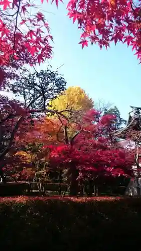 平林寺の自然