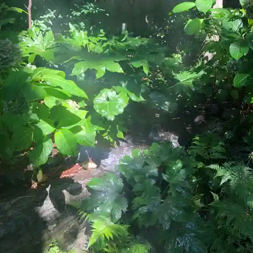 馬橋稲荷神社の自然