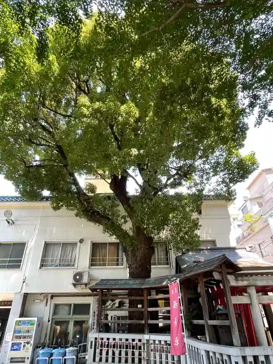 鳥越神社の自然