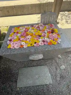 荘内神社の{uncategorized: "未分類", other: "その他", undefined: "問題あり", building: "その他建物", grave: "お墓", sacred_gate: "鳥居", guardian: "狛犬", statue: "像", buddha: "仏像", history: "歴史", nature: "自然", garden: "庭園", animal: "動物", pagoda: "塔", temizu: "手水舎", mountain_gate: "山門・神門", sanctuary: "本殿・本堂", subordinate: "末社・摂社", art: "芸術", scenery: "景色", jizo: "地蔵", ema: "絵馬", goshuin: "御朱印", omikuji: "おみくじ", items: "授与品その他", amulet: "お守り", goshuincho: "御朱印帳", eats: "食事", festival: "お祭り", votive_dance: "神楽", shichigosan: "七五三参", wedding: "結婚式", experience: "体験その他", initially: "初詣", around: "周辺", anti_infection: "感染症対策"}