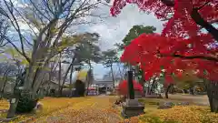 八幡秋田神社(秋田県)