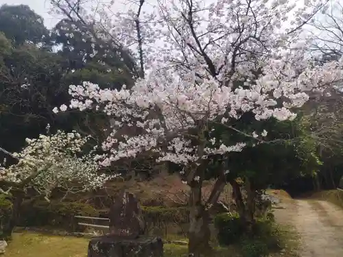 金剛王院(京都府)