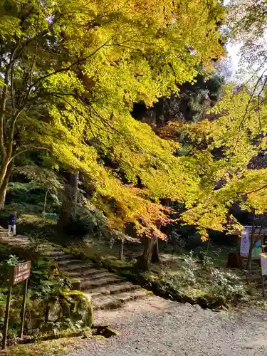 百済寺の建物その他