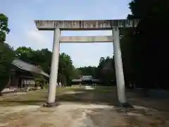 糟目春日神社の鳥居