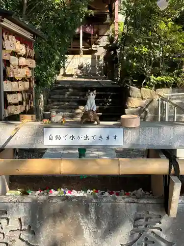 北澤八幡神社(東京都)