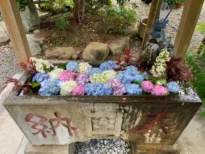 日運寺の手水舎