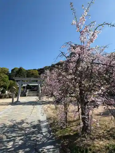 鶴羽根神社の{uncategorized: "未分類", other: "その他", undefined: "問題あり", building: "その他建物", grave: "お墓", sacred_gate: "鳥居", guardian: "狛犬", statue: "像", buddha: "仏像", history: "歴史", nature: "自然", garden: "庭園", animal: "動物", pagoda: "塔", temizu: "手水舎", mountain_gate: "山門・神門", sanctuary: "本殿・本堂", subordinate: "末社・摂社", art: "芸術", scenery: "景色", jizo: "地蔵", ema: "絵馬", goshuin: "御朱印", omikuji: "おみくじ", items: "授与品その他", amulet: "お守り", goshuincho: "御朱印帳", eats: "食事", festival: "お祭り", votive_dance: "神楽", shichigosan: "七五三参", wedding: "結婚式", experience: "体験その他", initially: "初詣", around: "周辺", anti_infection: "感染症対策"}