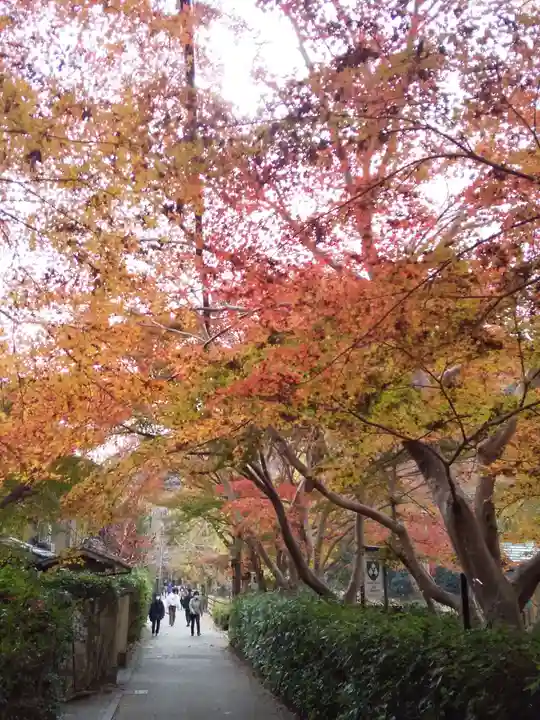 御髪神社の周辺