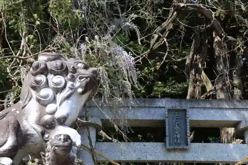 春日神社の狛犬