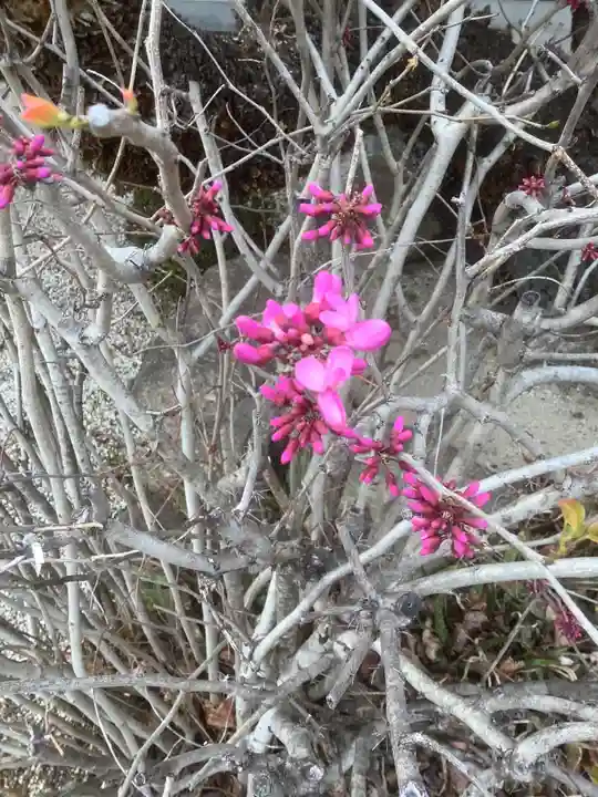 長福寺(愛知県)