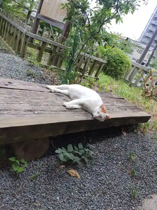 八雲神社(緑町)(栃木県)