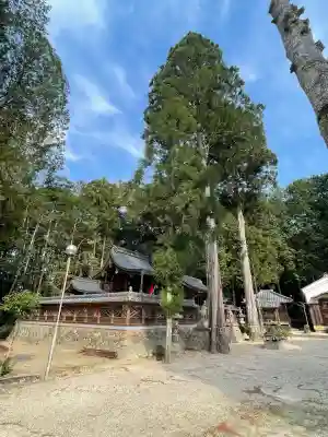 須賀神社(滋賀県)