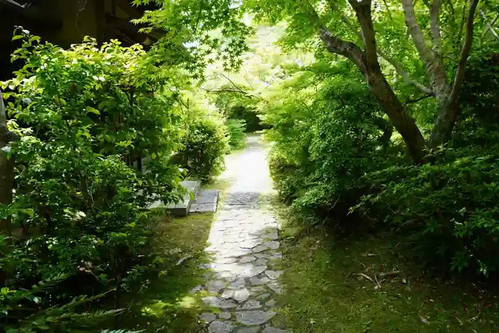 善法律寺(京都府)