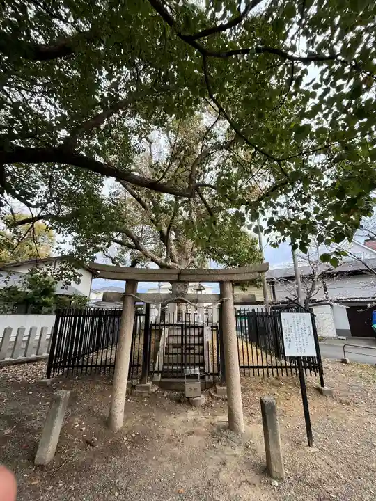泉穴師神社(大阪府)