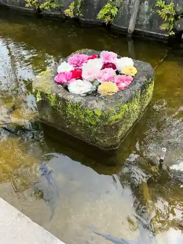 西新井大師総持寺(東京都)