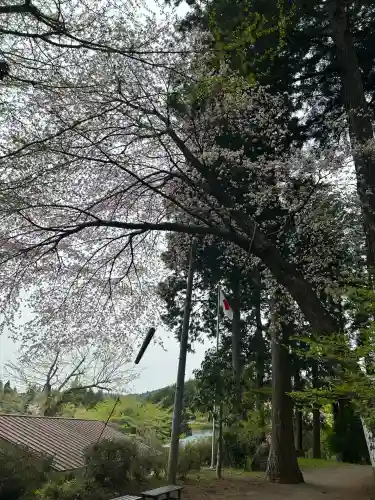 坪沼八幡神社の自然