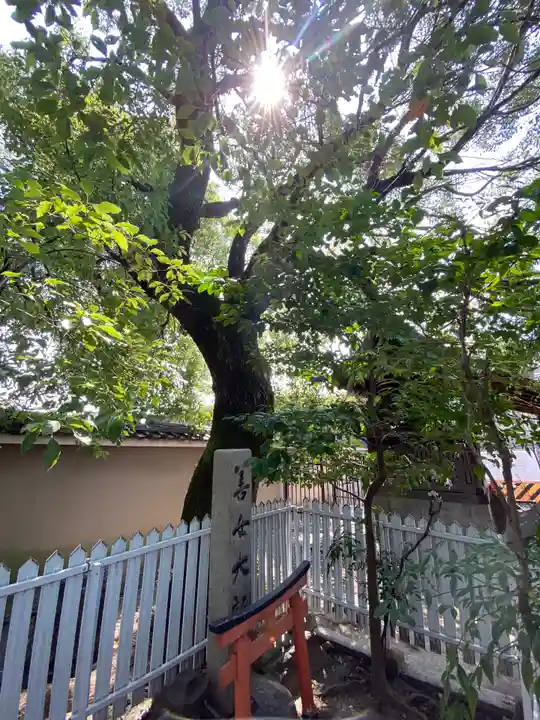 東寺(教王護国寺)の自然