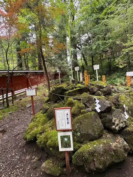 日光二荒山神社(栃木県)