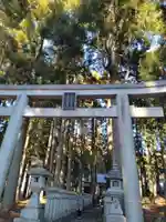 山宮浅間神社の御朱印