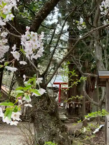 磐椅神社の自然