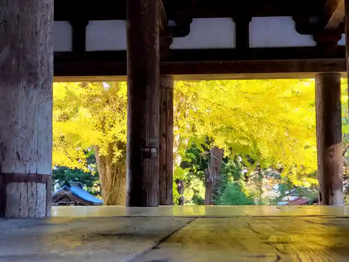 新宮熊野神社のその他建物